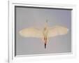 Gramercy White
