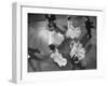 Arthur Murray Dance Instructors Dancing-Gjon Mili-Framed Premium Photographic Print