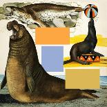 The Galapagos Islands-Arthur Oxenham-Giclee Print