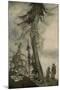 Wood Mount