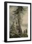 Black Frame
