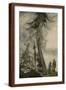 Brown Frame