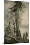 Wood Mount
