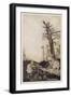 Black Frame