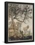 Essential Black