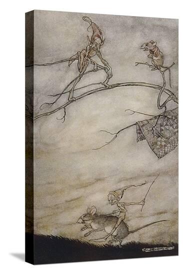 Stretched Canvas Print, , large