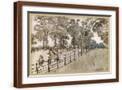 Brown Frame