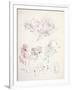 Gramercy White