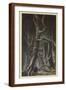 Brown Frame