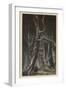 White Frame