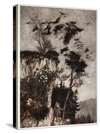 Stretched Canvas Print, , large