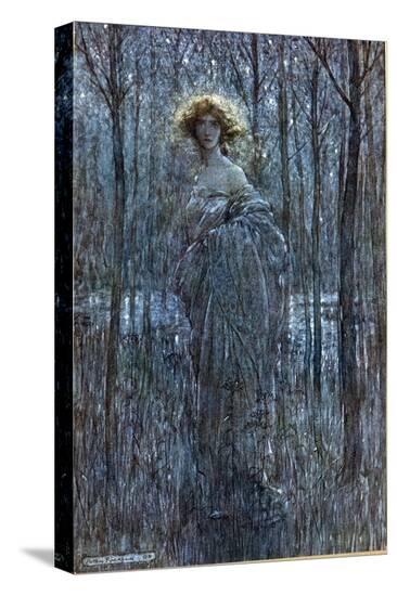 Stretched Canvas Print, , large