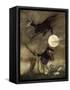 Canvas Black