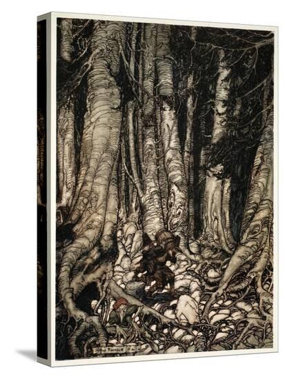 Stretched Canvas Print, , large