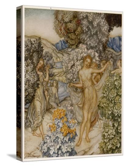 Stretched Canvas Print, , large