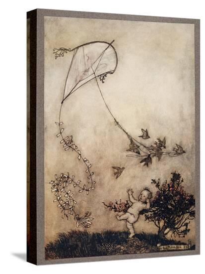 Stretched Canvas Print, , large