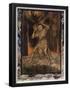 Essential Black