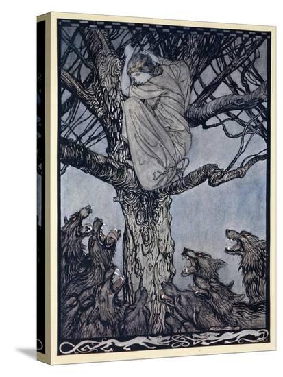 Stretched Canvas Print, , large