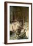 Brown Frame