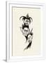 Gramercy White