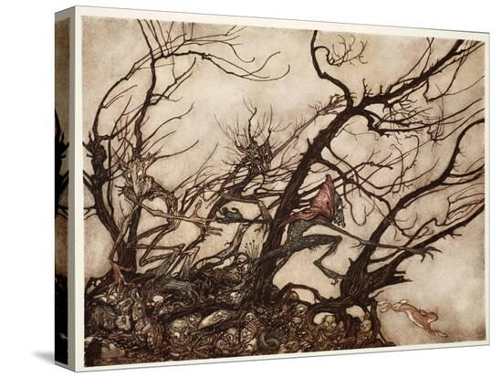 Stretched Canvas Print, , large