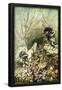 Essential Black