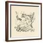 Brown Frame