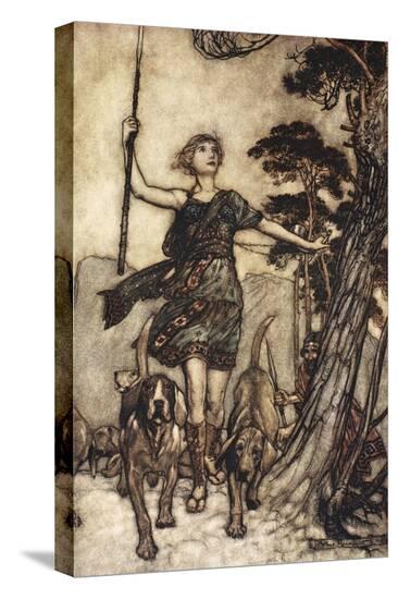 Stretched Canvas Print, , large
