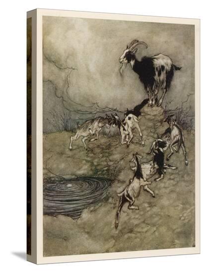 Stretched Canvas Print, , large