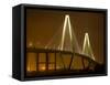 Arthur Revenel Bridge at Night, Charleston, South Carolina, USA-Jim Zuckerman-Framed Stretched Canvas