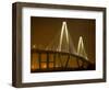 Arthur Revenel Bridge at Night, Charleston, South Carolina, USA-Jim Zuckerman-Framed Photographic Print