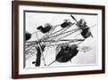 Brown Frame