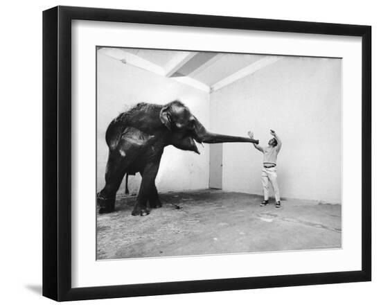 Premium Photographic Print, , large