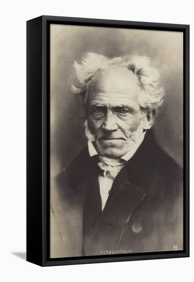 Arthur Schopenhauer (1788-1860), German Philosopher-null-Framed Stretched Canvas