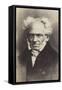 Arthur Schopenhauer (1788-1860), German Philosopher-null-Framed Stretched Canvas