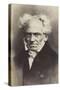 Arthur Schopenhauer (1788-1860), German Philosopher-null-Stretched Canvas