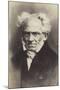 Arthur Schopenhauer (1788-1860), German Philosopher-null-Mounted Photographic Print