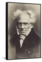 Arthur Schopenhauer (1788-1860), German Philosopher-null-Framed Stretched Canvas