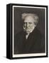 Arthur Schopenhauer German Philosopher-null-Framed Stretched Canvas