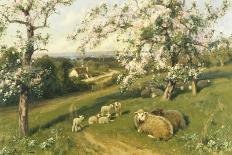 Spring Lambs-Arthur Walker Redgate-Giclee Print