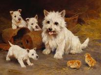 We Just Want to Play (Oil on Canvas)-Arthur Wardle-Giclee Print