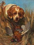 We Just Want to Play (Oil on Canvas)-Arthur Wardle-Giclee Print