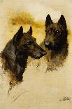 Friend or Foe (Oil on Canvas)-Arthur Wardle-Giclee Print