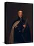 Arthur Wellesley, Duke of Wellington, with a Telescope-Thomas Lawrence-Stretched Canvas