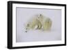 Artic Foxes-Art Wolfe-Framed Photographic Print