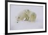 Artic Foxes-Art Wolfe-Framed Photographic Print