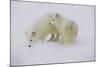 Artic Foxes-Art Wolfe-Mounted Photographic Print