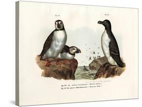 Artic Puffin, 1864-null-Stretched Canvas