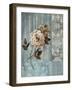 Artic Rose-Rich Wilder-Framed Art Print