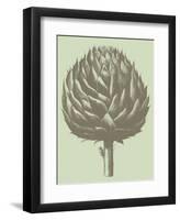 Artichoke 11-Botanical Series-Framed Art Print